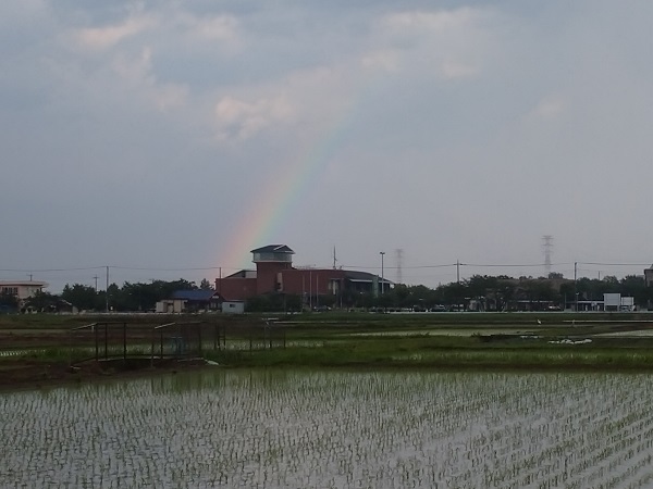 川島町庁舎 虹