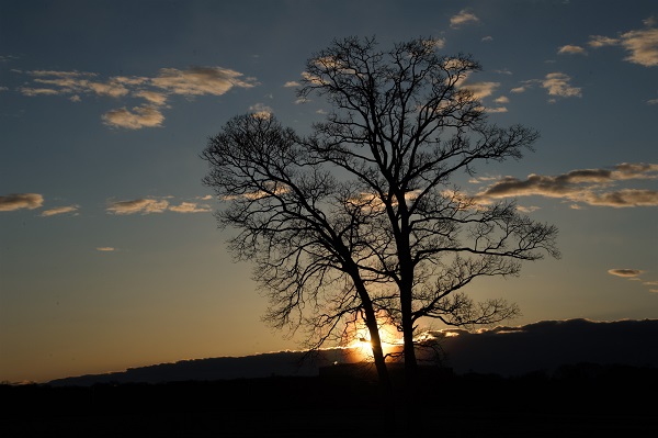 川島町の夕暮れ