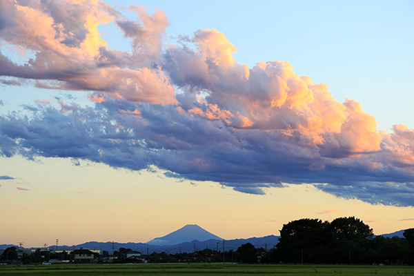 川島町 積乱雲 田園風景