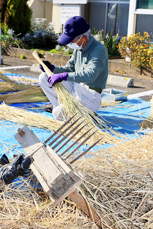 川島町 正月飾りづくりの藁の準備作業